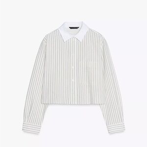 Zara White and Gray Striped Crop Top